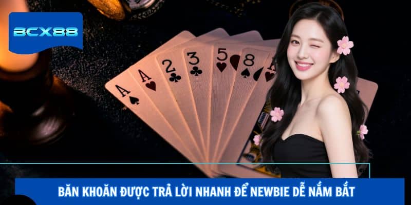 Băn khoăn được trả lời nhanh để newbie dễ nắm bắt