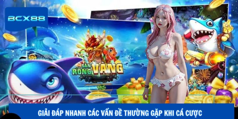Giải đáp nhanh các vấn đề thường gặp khi cá cược