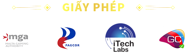 giấy phép hoạt động