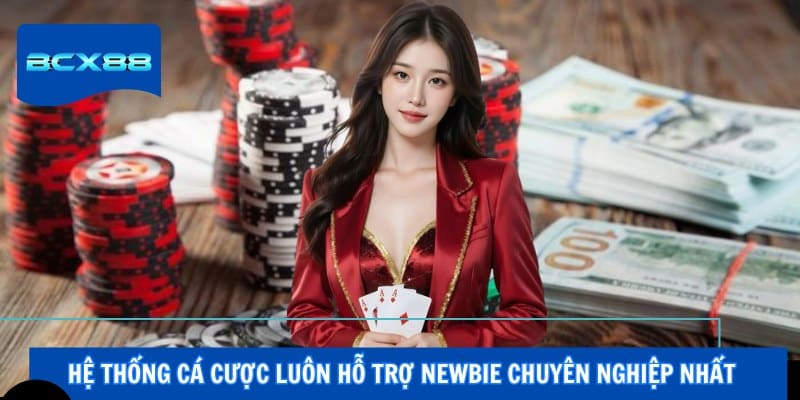 Hệ thống cá cược luôn hỗ trợ newbie chuyên nghiệp nhất