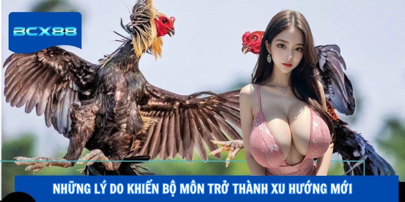 Những lý do khiến bộ môn trở thành xu hướng mới