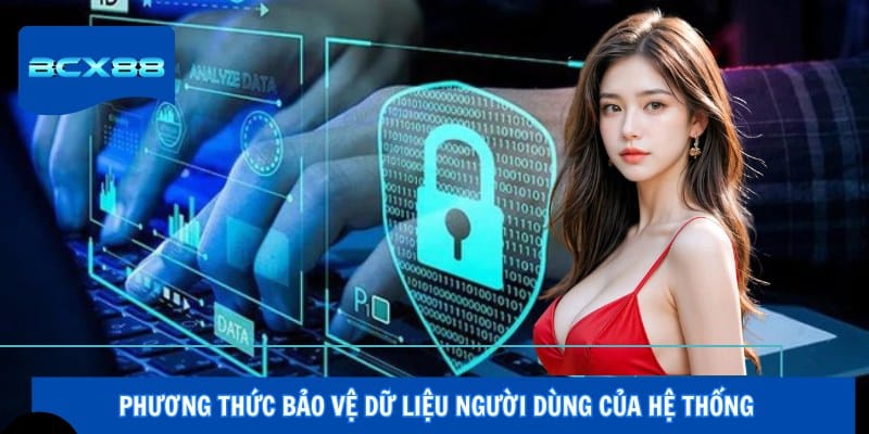 Phương thức bảo vệ dữ liệu người dùng của hệ thống
