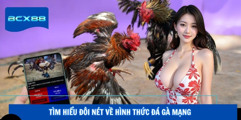 Tìm hiểu đôi nét về hình thức đá gà mạng
