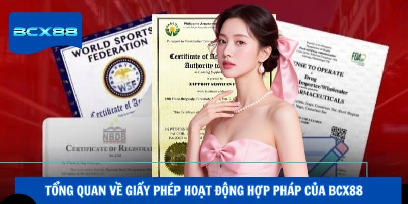 Tổng quan về giấy phép hoạt động hợp pháp của BCX88