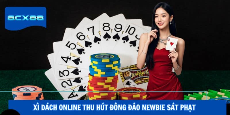 Xì dách online thu hút đông đảo newbie sát phạt